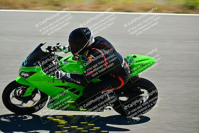 media/May-10-2024-2WTD (Fri) [[c88d7990af]]/Group C/Session 2-The Bowl/